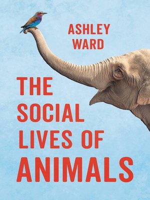 cover image of The Social Lives of Animals